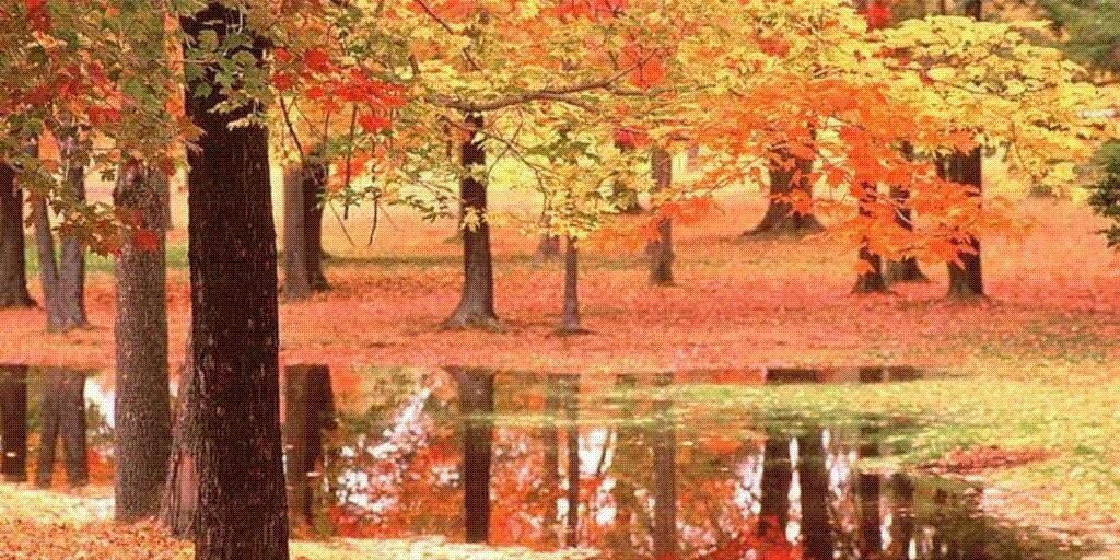 Canada – Ma mère s’est éteinte doucement…