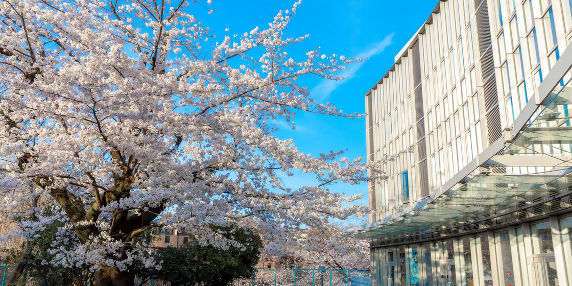lycee-francais-tokyo
