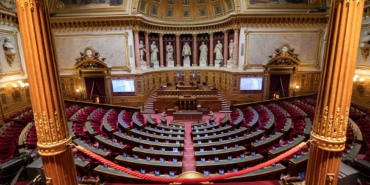 Senat