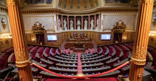 Senat